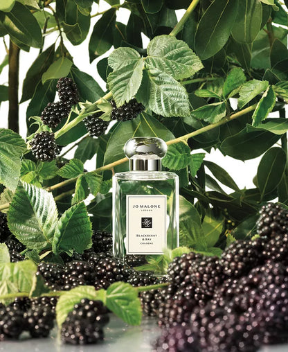 Blackberry & Bay Cologne, 3.4-Oz.