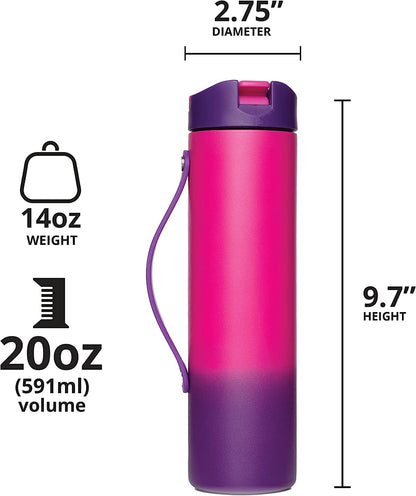 Iconic 20 Oz Water Bottle with Straw Lid, Slim Insulated Water Bottles, Triple Wall Vacuum Stainless Steel Thermos, Reusable Metal Water Flask for Gym, Travel, & Sports - Berry Blast