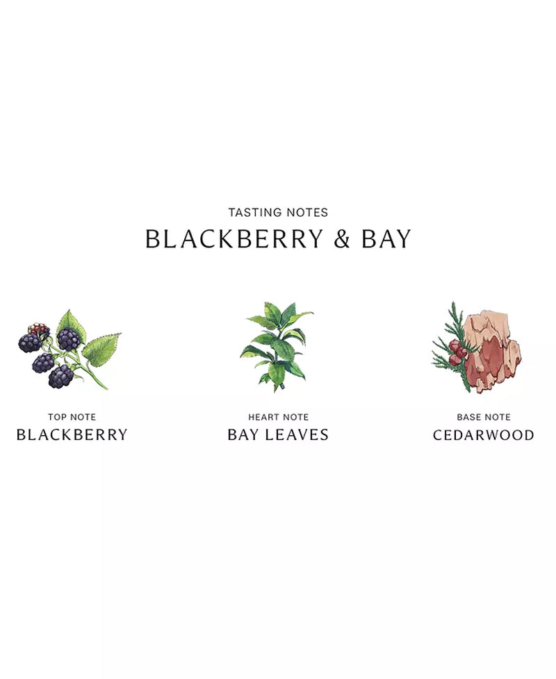 Blackberry & Bay Cologne, 3.4-Oz.